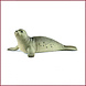 Schleich Zeehond Schleich Zeehond