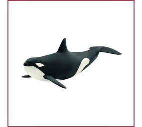 Schleich Noord-Atlantische walvis Schleich Noord-Atlantische walvis