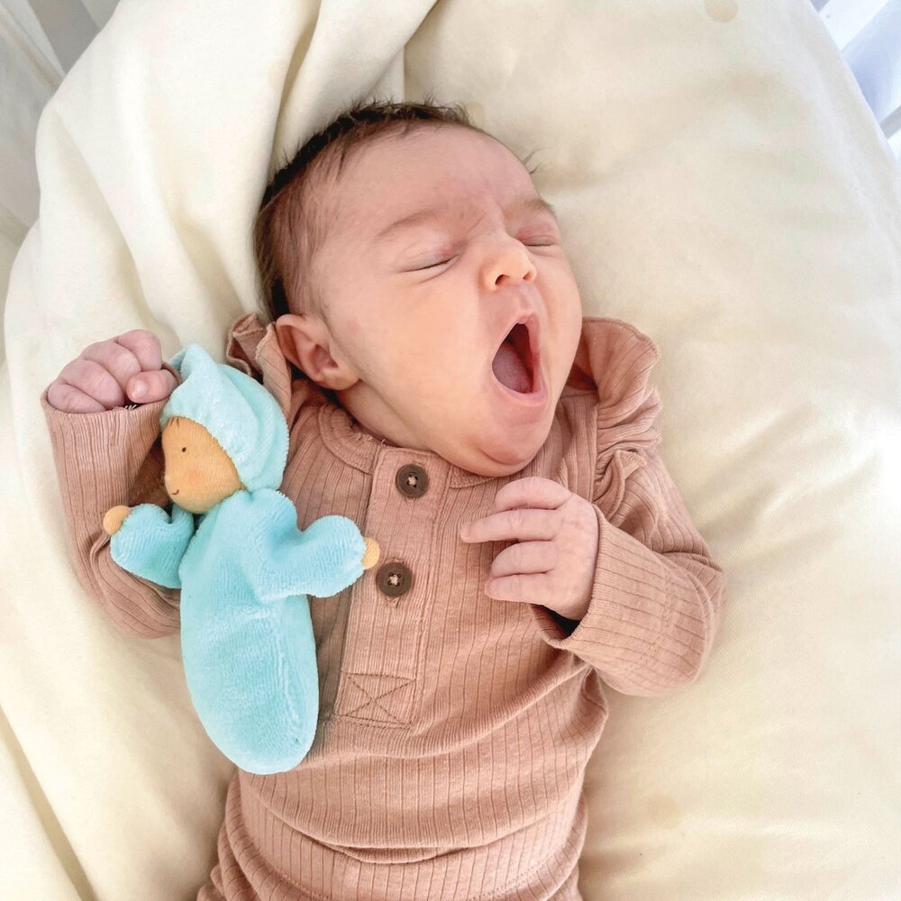 Grimm's Lavendel popje aqua Grimm's Lavendel popje aqua