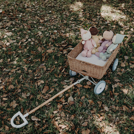 Olliella Rattan Bolderkar Olliella Rattan Bolderkar