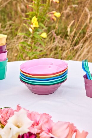 Rice Rice soup bowl diverse kleuren