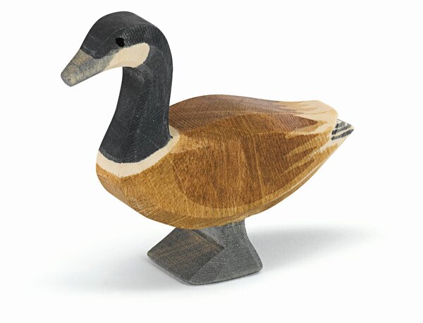Ostheimer Canadese Gans staand