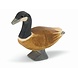 Ostheimer Canadese Gans staand