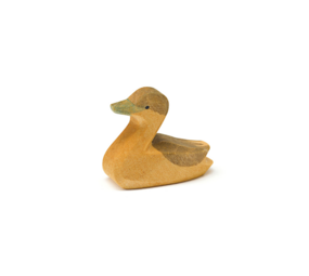 Ostheimer Canadese Gans klein