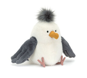 Chip Seagull