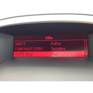 DAB+ Nachrüstset Cascada