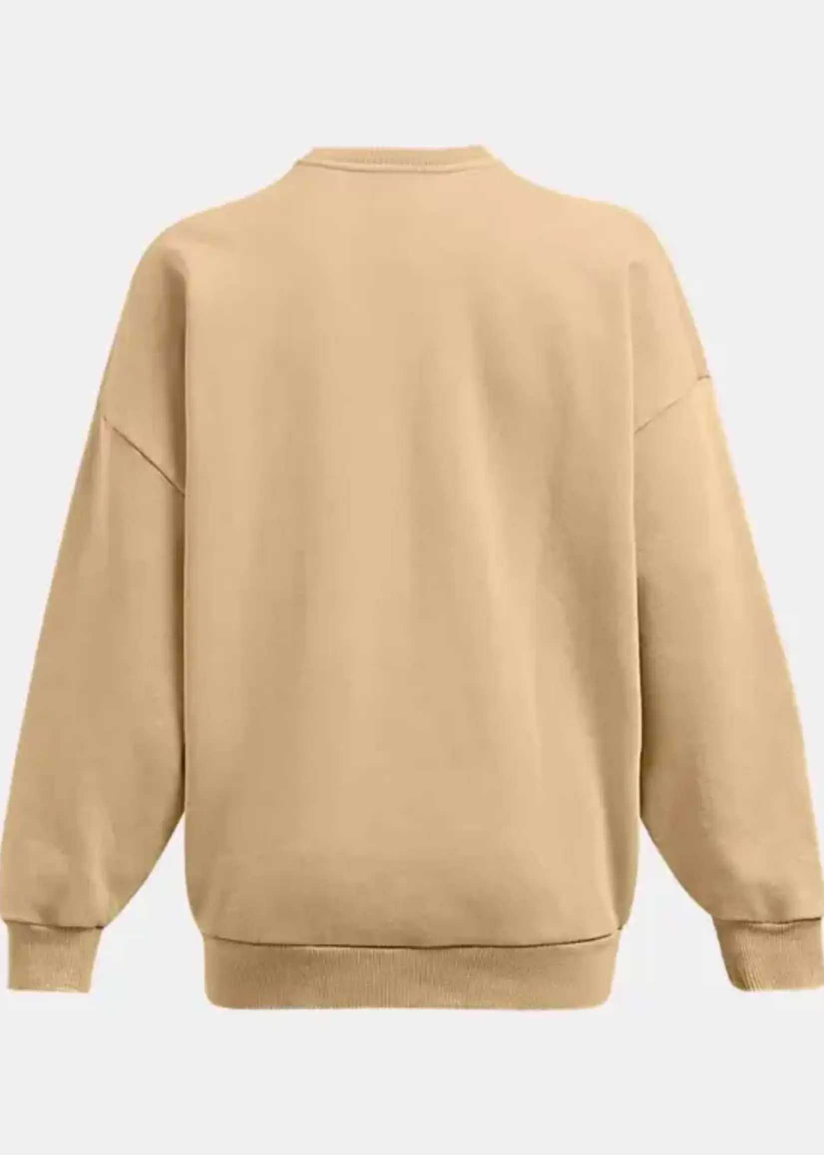 Under Armour Ua Icon heavyweight Fleece Oversized Crew-Brn