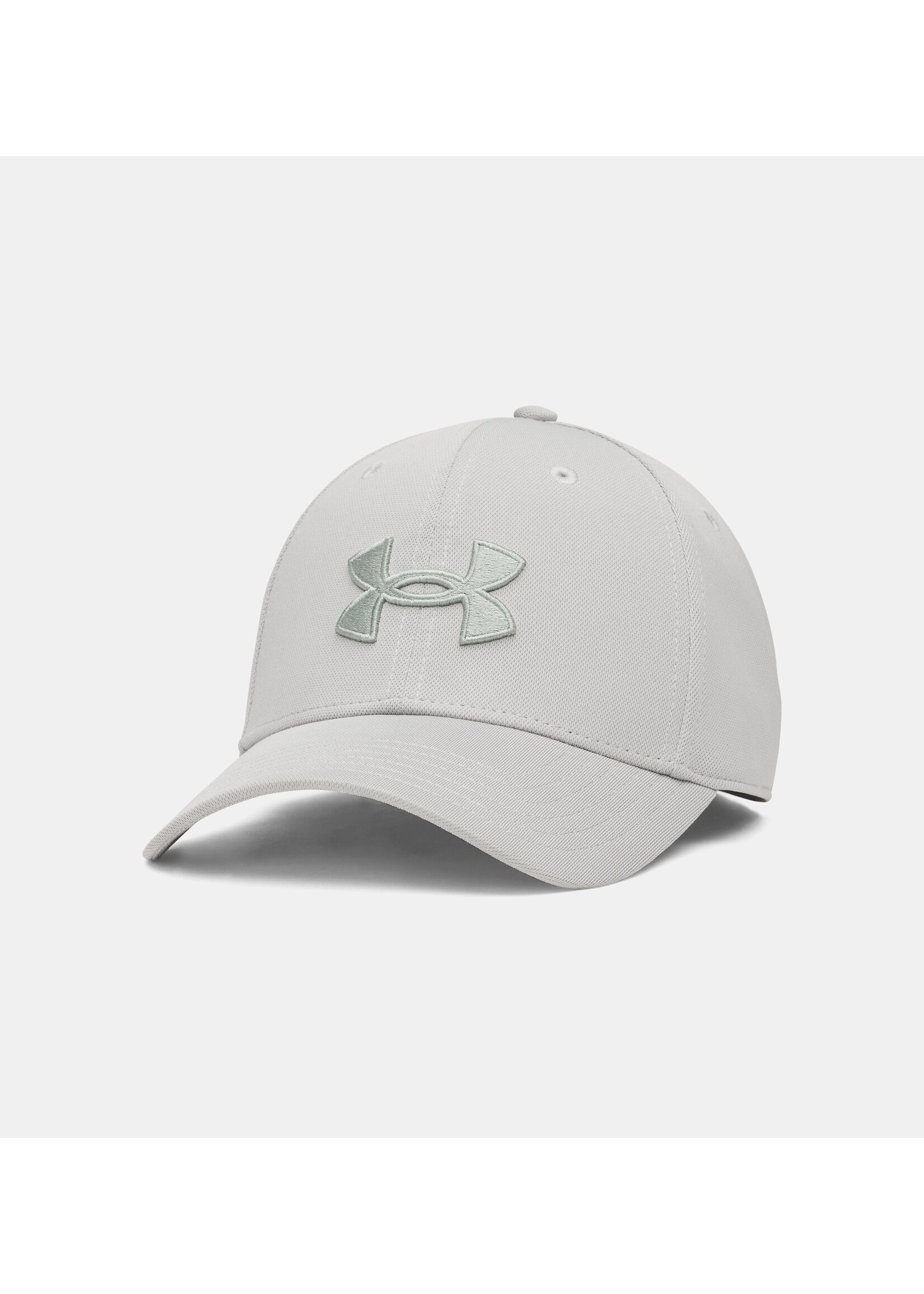 Under Armour UA Blitzing Low Men's Stretch Fit Cap-069