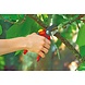 WOLF-Garten WOLF-Garten Snoeischaar RS 4000 "Premium Plus" WOLF-Garten WOLF-Garten Snoeischaar RS 4000 "Premium Plus"