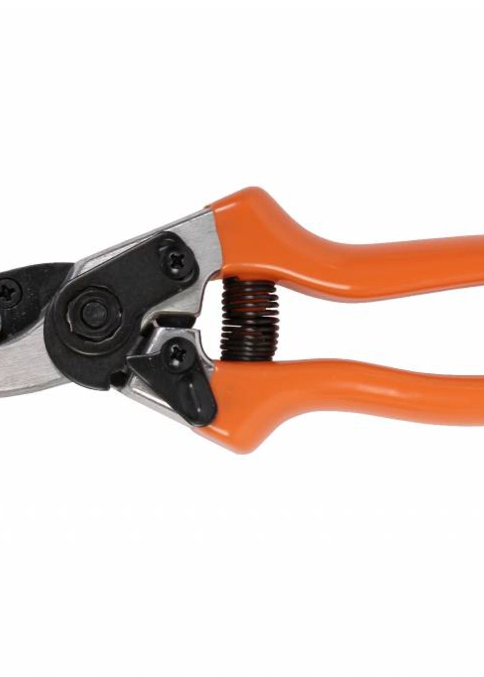 Talen Tools Talen Tools Presenteersnoeischaar