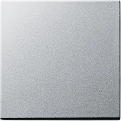 Gira wippe System 55 aluminium matt Altmodell (029626)