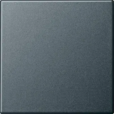 Gira wippe System 55 anthrazit matt Altmodell (029628)