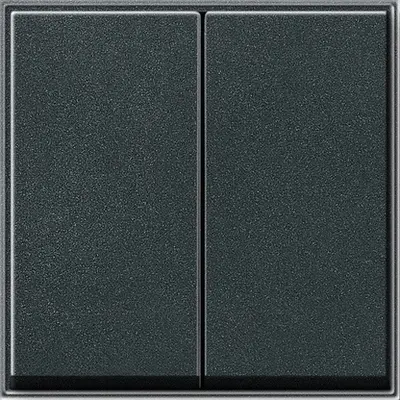 Gira wippe 2-fach TX44 anthrazit Altmodell (029567)