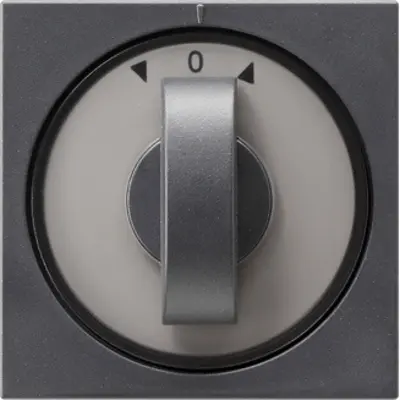 Gira Drehbedienaufsatz Jalousie- und Zeitschalter System 55 anthrazit matt (066628)