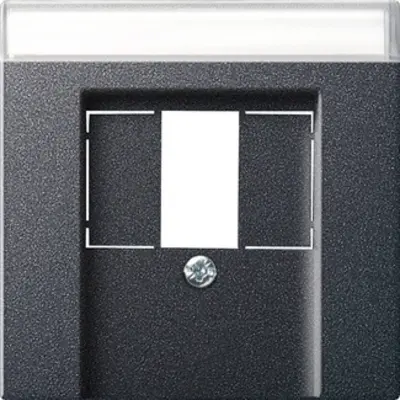 Gira Abdeckung für TAE und USB mit Beschriftungsfeld System 55 anthrazit matt (087628)