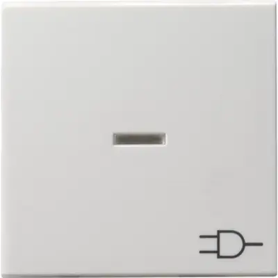 Gira wippe Kontrollfenster symbol Steckdose System 55 weiß matt Altmodell (020927)