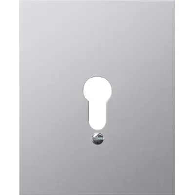 Gira metallabdeckung o.Symbole WG AP Aluminium (009830)