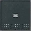 Gira Tastschalter Kontrollschalter mit Glimmlampe 1-polig TX44 anthrazit (013667)