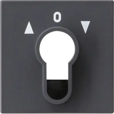 Gira abdeckung Schlüsselschalter/-taster System 55 Anthrazit (066428)
