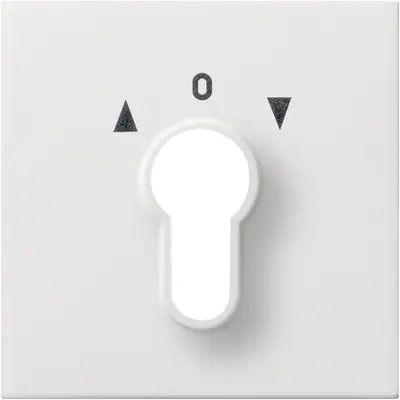 Gira abdeckung Schlüsselschalter/-taster Flächenschalter Reinweiß (0664112)