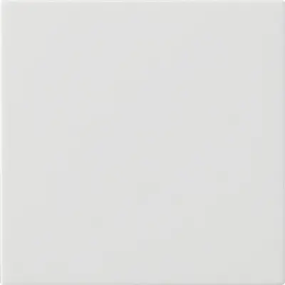 Gira Dimmer bedienaufsatz System 3000 Tastdimmer System 55 weiß matt (536027)