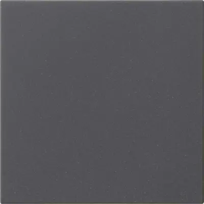 Gira Dimmer bedienaufsatz System 3000 Tastdimmer System 55 anthrazit matt (536028)