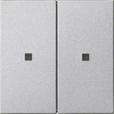 Gira wippe 2-fach unbedruckt Kontrollf. System 55 F Alu (536926)