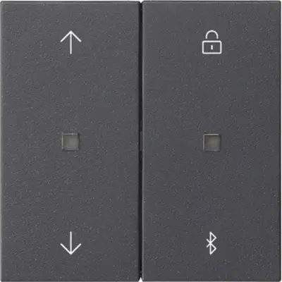 Gira Bluetooth bedienaufsatz Pfeilsymbole System 3000 System 55 anthrazit matt (536728)
