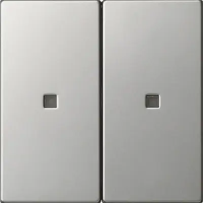 Gira wippe 2-fach unbedruckt Kontrollf. System 55 Edelstahl (5369600)