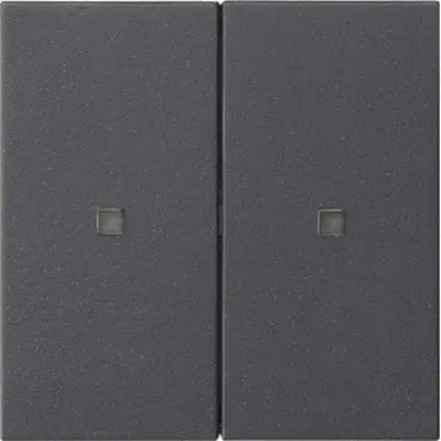 Gira wippe 2-fach unbedruckt Kontrollf. System 55 Anthrazit (536928)