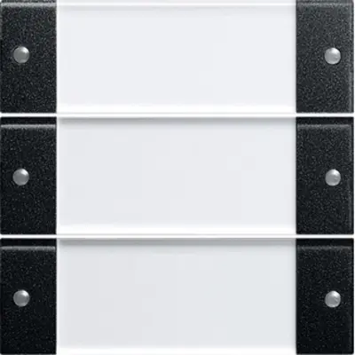 Gira Wippenset 3-fach mit Beschriftungsfeld System 55  schwarz matt (2133005)