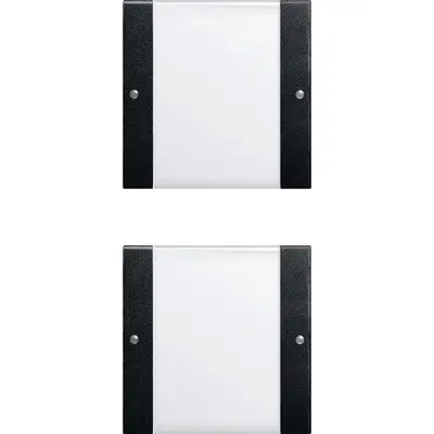 Gira wippenset 2-fach (1+1) BSF System 55 Klar/Schwarz m (2132005)