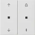 Gira Bluetooth bedienaufsatz Pfeilsymbole System 3000 System 55 weiß matt (536727)
