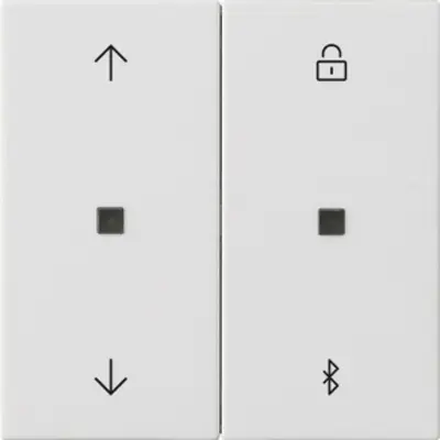 Gira System 3000 Bluetooth-Bedienaufsatz mit Pfeilsymbolen System 55 weiß matt (536727)