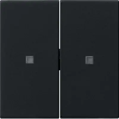 Gira wippe 2-fach unbedruckt Kontrollf. System 55 Schwarz m (5369005)
