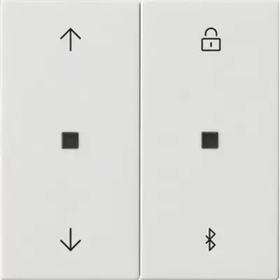 Gira Bluetooth bedienaufsatz Pfeilsymbole System 3000 System 55 weiß glänzend (536703)