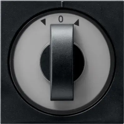 Gira Drehbedienaufsatz Jalousie- und Zeitschalter System 55 schwarz matt (0666005)