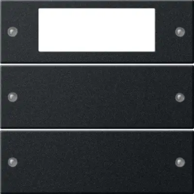 Gira wippenset 2-fach Plus System 55 Schwarz m(lack.) (2192005)