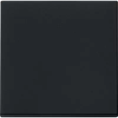 Gira wippe System 55 schwarz matt Altmodell (0296005)