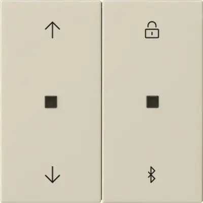 Gira Bluetooth bedienaufsatz Pfeilsymbole System 3000 System 55 creme glänzend (536701)
