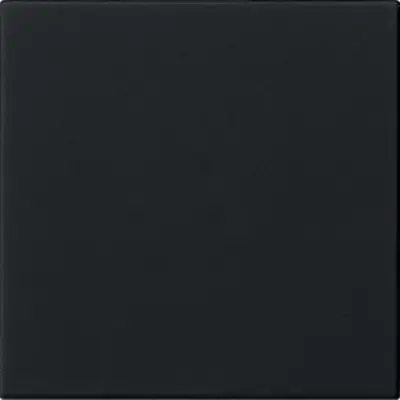 Gira Dimmer bedienaufsatz System 3000 Tastdimmer System 55 schwarz matt (5360005)