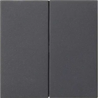 Gira System 3000 Bedienaufsatz 2fach für Tastdimmer 2fach System 55 anthrazit matt (536228)