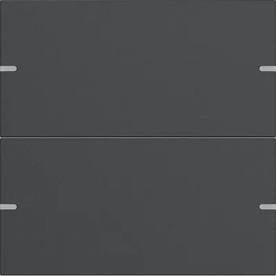 Gira wippenset 2-fach Tastsens.4 TS4 Anthrazit(lack.) (5022928)