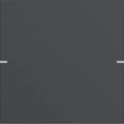 Gira wippenset 1-fach Tastsens.4 TS4 Anthrazit(lack.) (5021928)