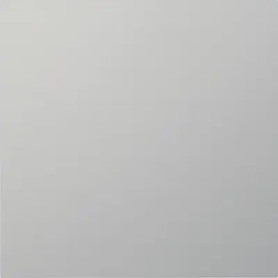 Gira info-/Blindmodul System 106 Aluminium (5554926)