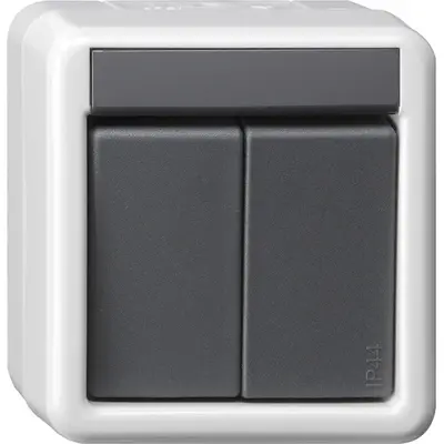 Gira KNX Taster-BA 2-fach 1-Punkt WG AP Grau (516130)