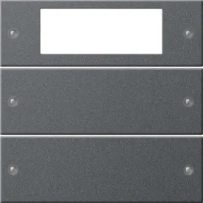 Gira wippenset 2-fach Plus System 55 Anthrazit(lack.) (219228)