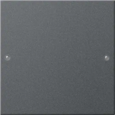 Gira wippenset 1-fach System 55 Anthrazit(lack.) (218128)