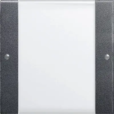 Gira wippenset 1-fach BSF System 55 Klar/Anthrazit (213128)