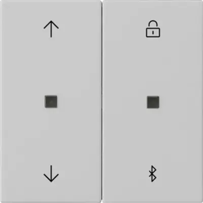 Gira System 3000 Bluetooth-Bedienaufsatz mit Pfeilsymbolen System 55 grau matt (5367015)